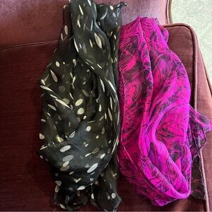 Sheer Silk Scarves